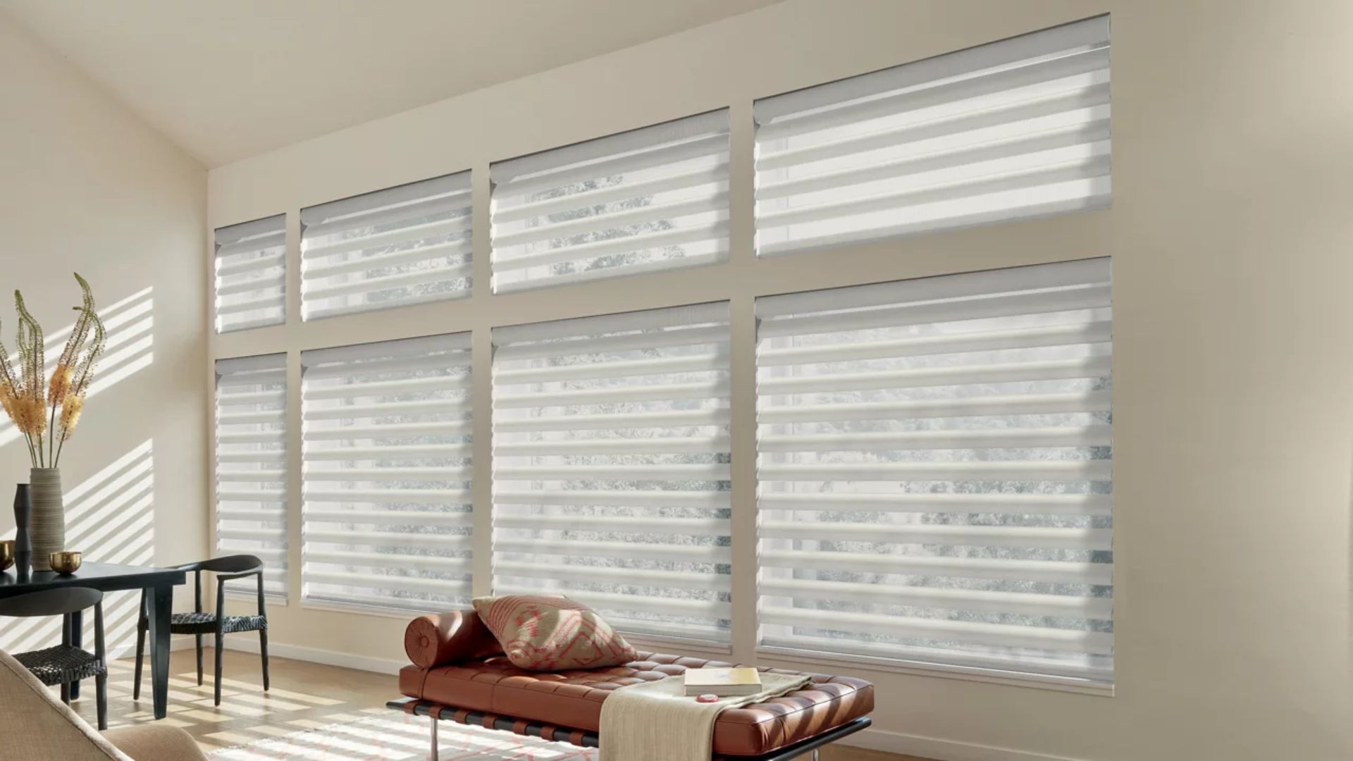 picture of Pirouette® Window Shadings